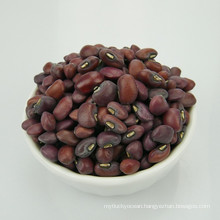 Chinese Cowpea